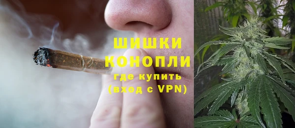 шишки Гусиноозёрск