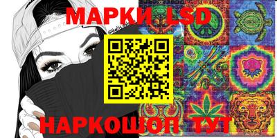гашик Гай