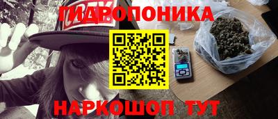 гашик Гай