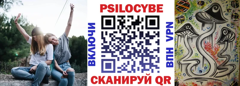 Псилоцибиновые грибы прущие грибы Кашира