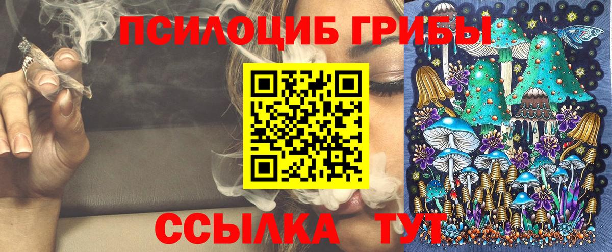 Псилоцибиновые грибы прущие грибы Кашира
